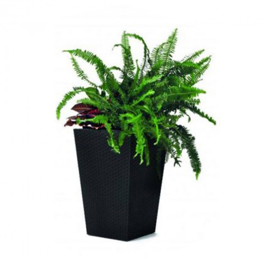 Rattan planter S virágtartó grafit BAUplaza Kft.